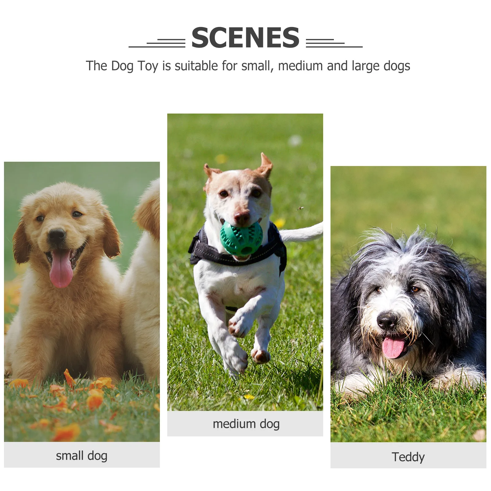 

Puppy Leash Vest Dog Harness Adjustable Sliding Straps Pet Supplies Moisture Proof Cool Dry Breathable All Weather Small Medium