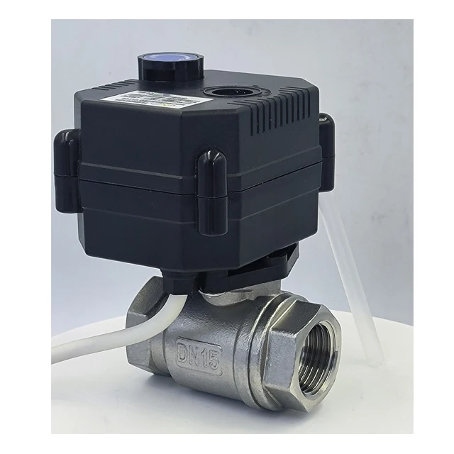 Electric Ball Valve 1 Inch with Manual Override 12v 24v 220v Brass SS304 UPVC 2 Way Motorized Ball Valve