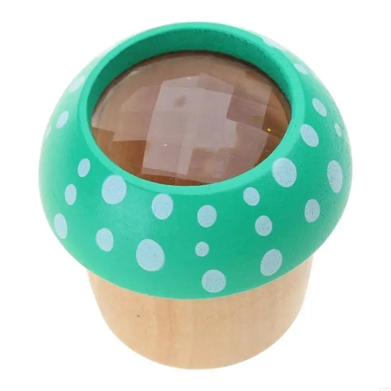 

F19F Wooden Children's Science Experiment Toy Safe and Durable