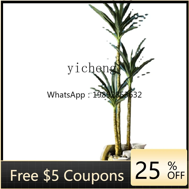 Zc Housewarming Gif…