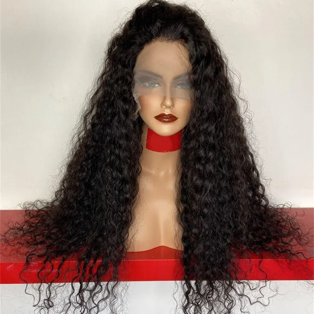 Long Pre plucked 30inch Kinky Curly Human Hair Natural Black 13x6 HD Lace Front Wigs Brazilian Free Part with Baby Hair Glueless view 2