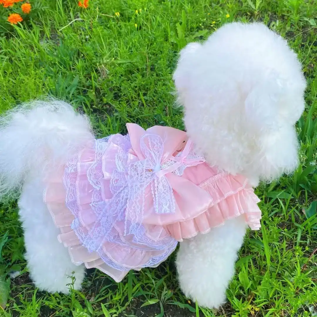Best Sellers Summer Thin Breathable Cat Princess Dress Handmade Lace Soft Dress High-quality Dog Dress for Small Dog Clothing