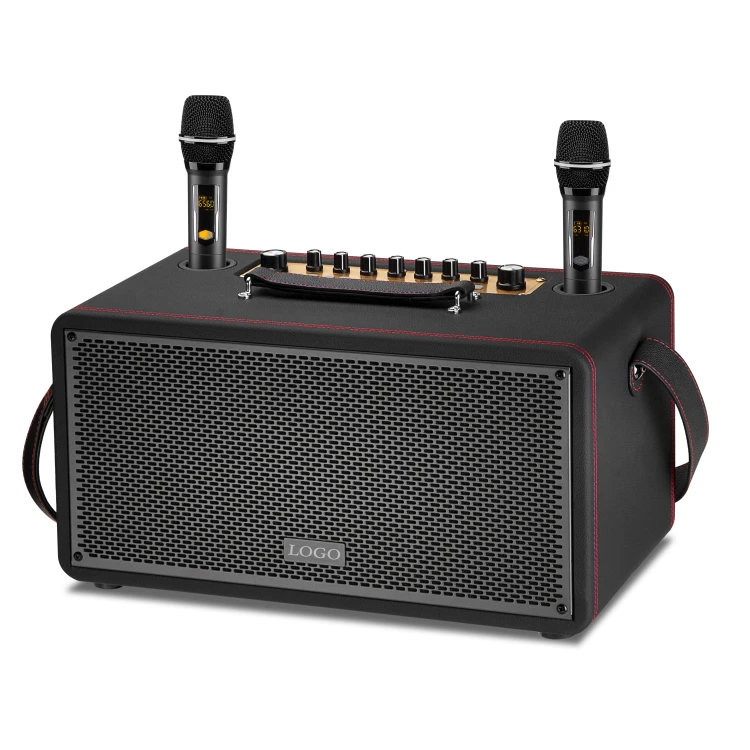 Karaoke Speaker System Professional Audio Video Subwoofer Speaker Daul Karaoke Machine with Wireless Microphone