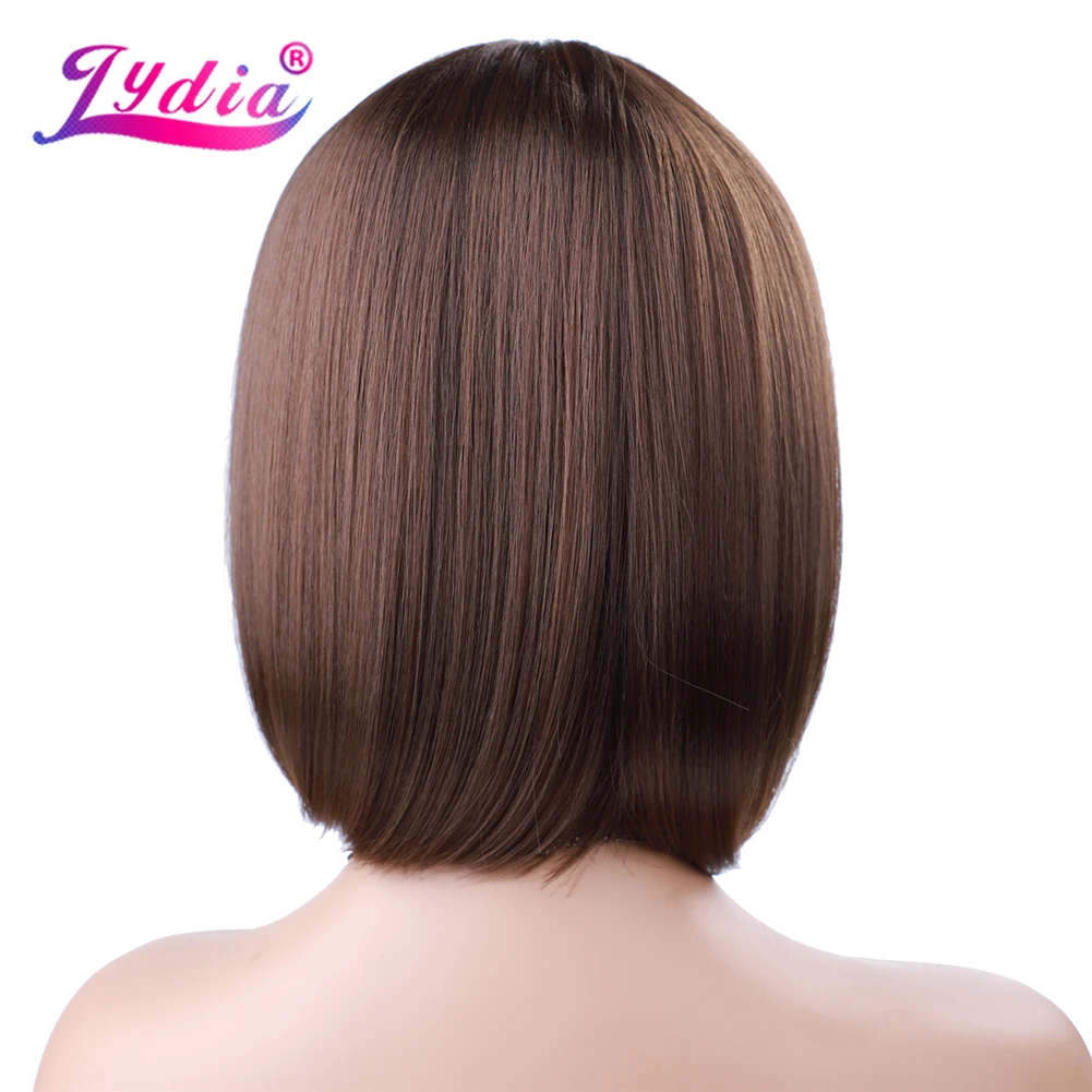 Lydia Women Long Silky Straight Synthetic Bob African American WIth Toppe Wig With Lace Hand Made Headine Babyhair Bang Daily