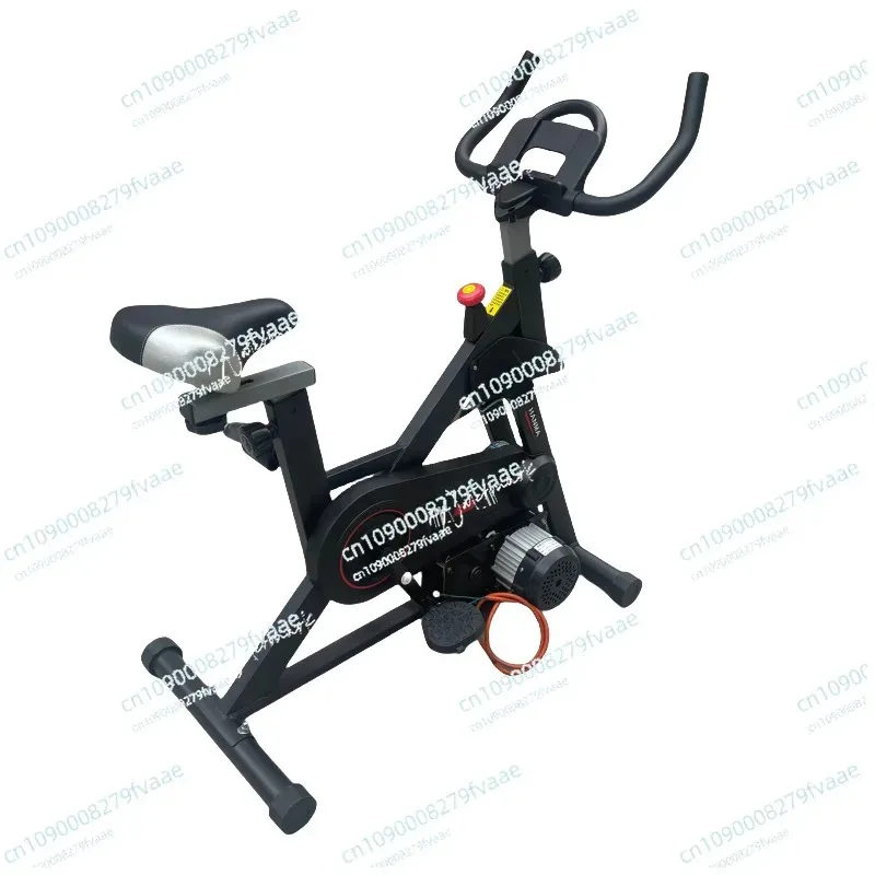 Stationary Bike Generator 2000W 220V Permanent Magnet AC Charger Support 12V 48V 60V 72V Portable Fitness