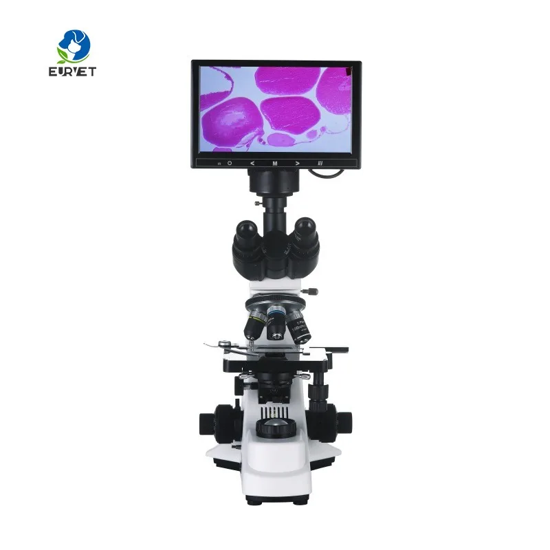 2026 Medical Lab Digital Biological Microscope for Scientist and Veterinary Animal Use for Commercial Equipment