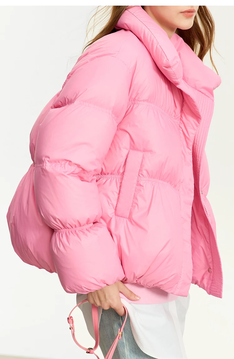 AMII Minimalist Women's Winter Down Jacket Zipper Button Warm Short Overcoats 2025 Winter New Female Solid Down Jacket 12344053