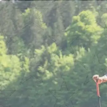 

1 комплект, адаптер для надувной лодки с веслом, насадки для насоса, адаптер для воздушного воздушного клапана для воздушного змея, стандартный конвертер для насадки для паддлборда Schrader