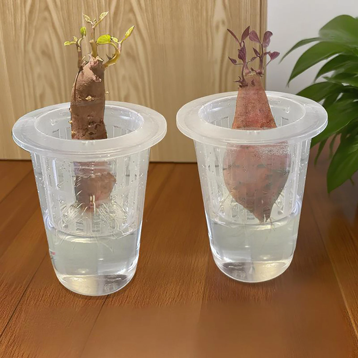10Pcs Hydroponic Mesh Cups Garden Aeroponic Vegetable Nursery Pot Soildless Cultivation Solution Culture Net Pot Raise Seedling