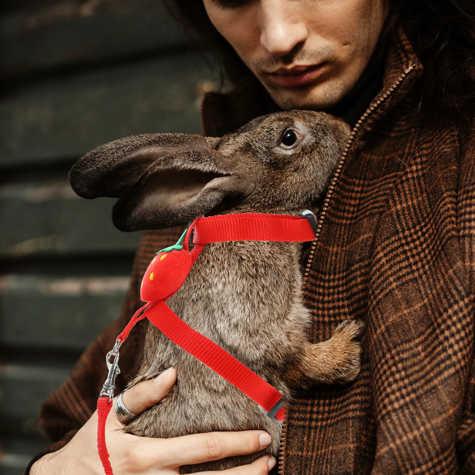 

2Sets Pet Leash Adjustable Rabbit Harness Durable Bunny Leash Harness Set Small Pet Breathable Traction Rope Bunny Decor