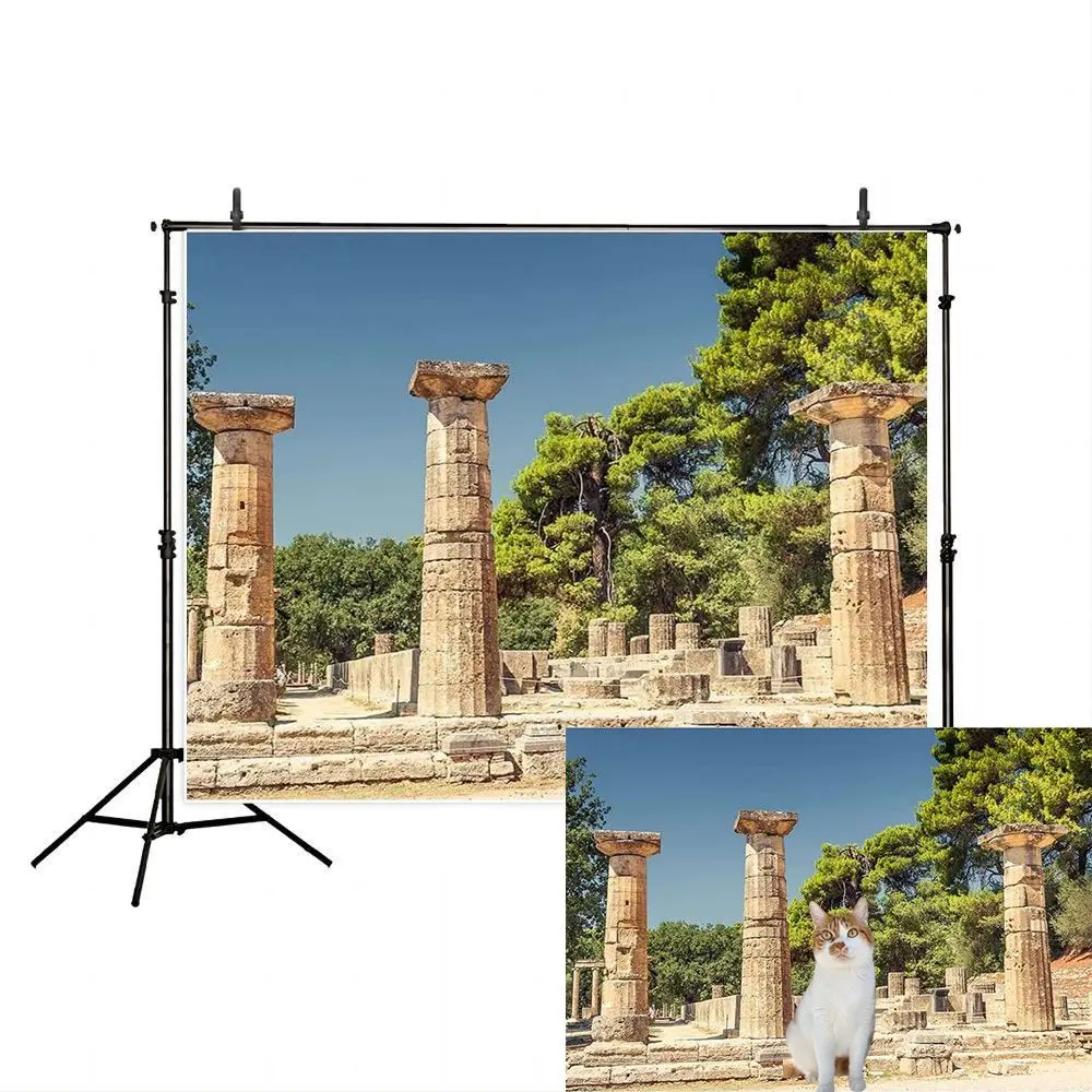 Sanctuary Pillar Backdrop Antique Greece Ancient Greek Ruins Historic Building Column Background Travel Photo Booth Props