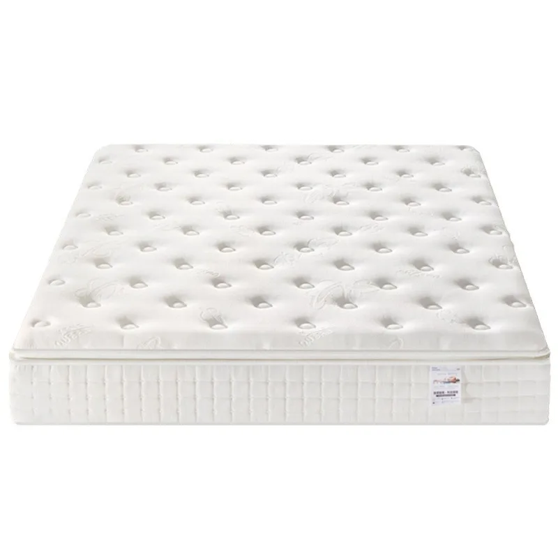 Manufacturer Orthopedic Convoluted Latex Soft Memory Foam Double Bed Mattress High Quality Hotel Pocket Spring Hotel Apartment