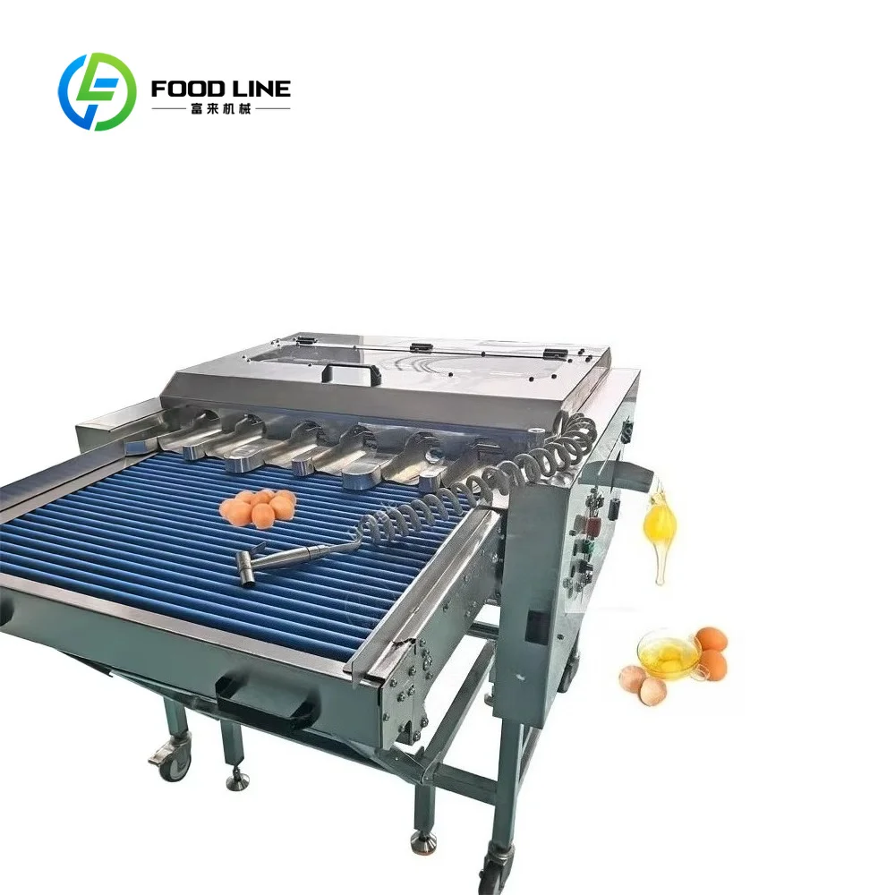 Fully Automatic Liquid Egg Separator & Breaker Machine Custom Egg Washing and Packaging Processing Line