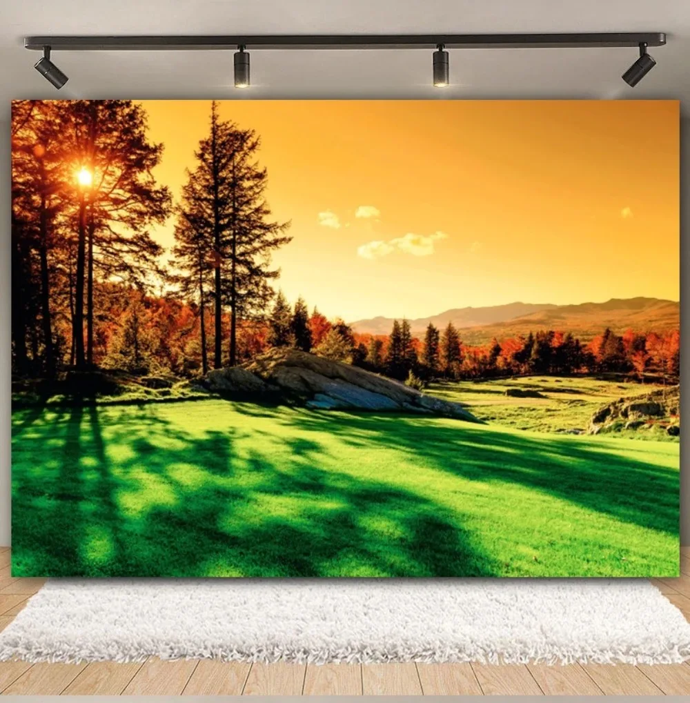 Spring Green Trees, Sunshine, Sky, Grassland Theme Photography Background, Birthday Party, Room Decoration Photography Backdrop