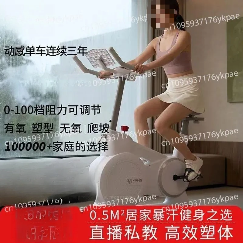 650 Spinning Bicycle Household Electromagnetic Exercise Bike Vertical Silent Indoor Weight Loss Equipment Bicycle