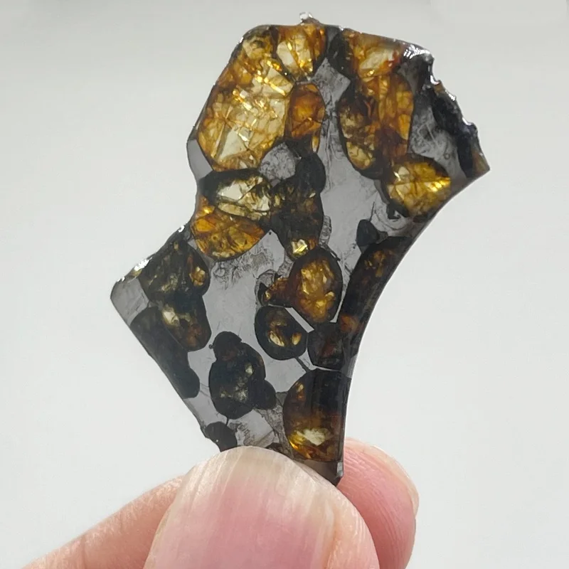 Natural Seymchan Pallasite Meteorite Polished Fan Shaped Irregular Slice Rich Olivine Crystal Space Collectible  CA115