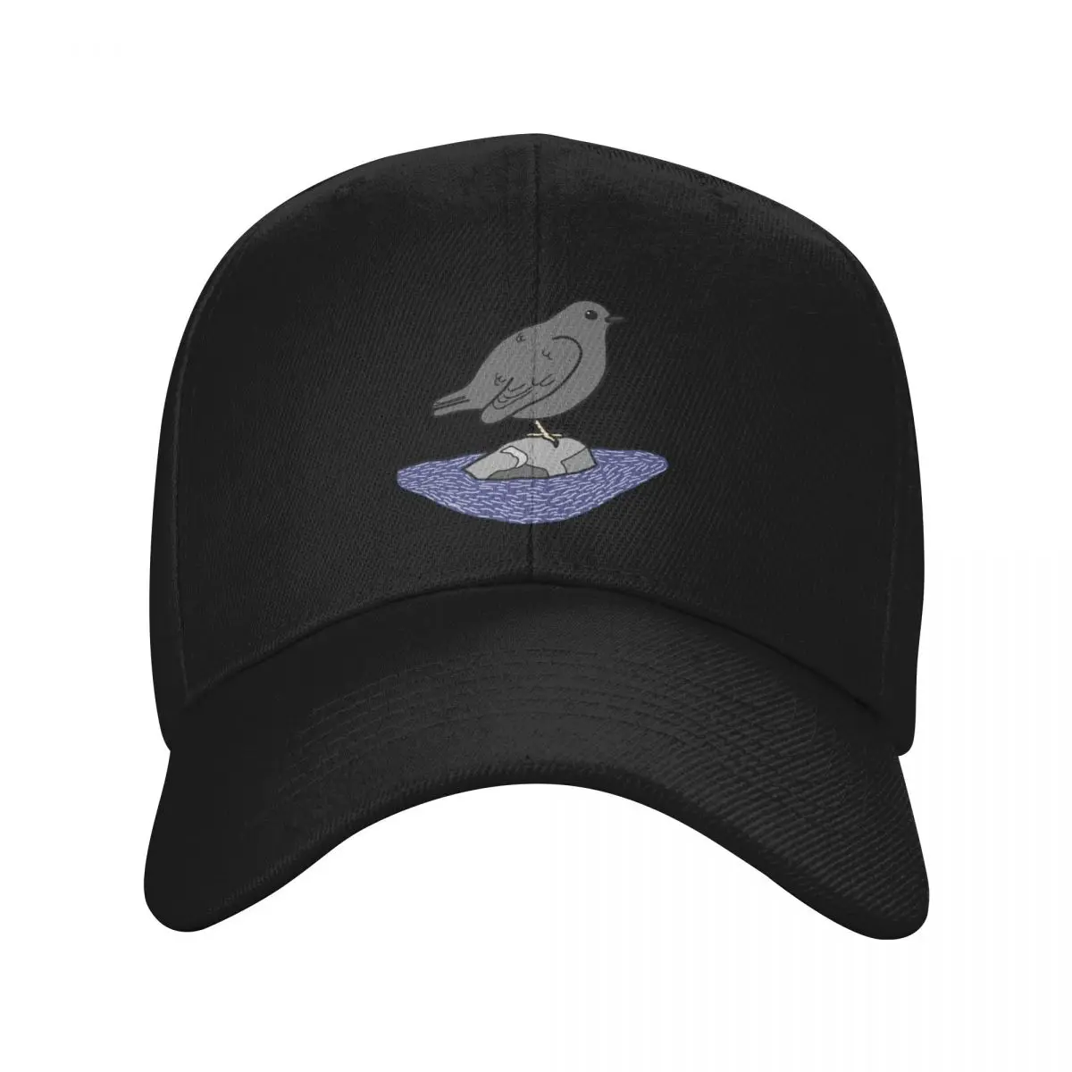 

American Dipper Baseball Cap Winter hat Beach Outing Anime Hat Caps Male Women's