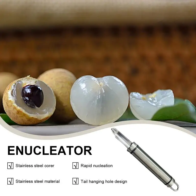 Stainless Steel Fruit Corer Manual Fruit Jujube Corer Easy To Use Lychee Core Remover Longan Cherry Core Remover kitchen Tool