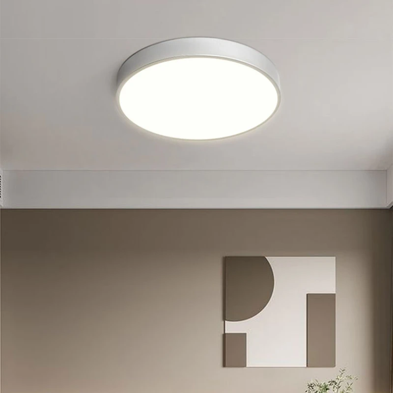 Modern Led Ceiling Light Lamps for Bedroom Corridor Aisle Balcony Living Room Bathroom Stuy Home Decor Indoor Lighting Slivery