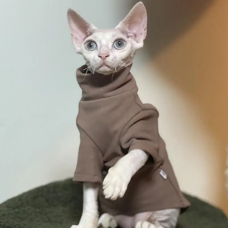 Variant: coffee cat