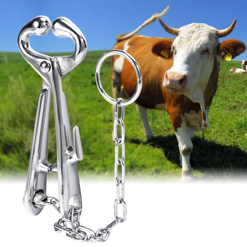 

1PCS Stainless Steel Cattle Nose Pliers Bull Cow Nose Clip Piercing Drilling Tools Bovine Punch Plier Puncher Ranch Farm Tools