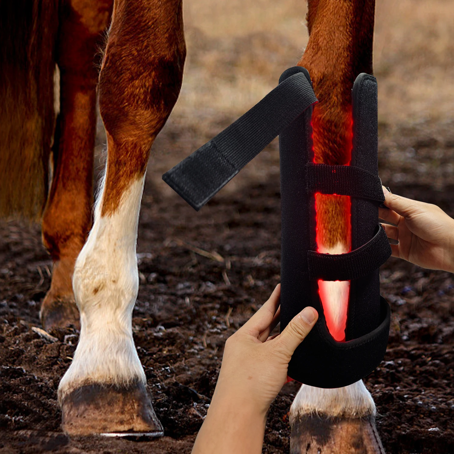 

Best-selling Professional 15W Large Size Red Light Equine Therapy Boots with 660/850nm Multi-LED to Relieve Horse Leg Pain