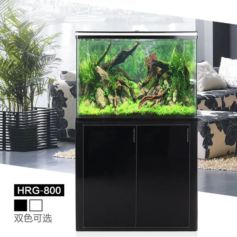 غرفة المعيشة خزان أسماك كبير، بيئة الفلتر، زجاج متوسط