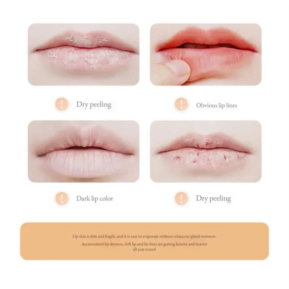 Dry Flower Clear Lip Balm Temperature Change Long-lasting Moisture Waterproof Jelly Lip Balm Light Lipstick Lip Care Cosmetics