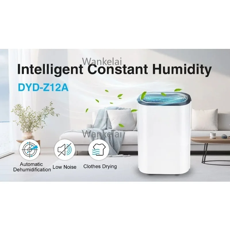 مزيل الرطوبة بالضاغط المعتمد DYD-Z12A 12L R290 منفذ صغير لتنقية الهواء مزيل الرطوبة المنزلي