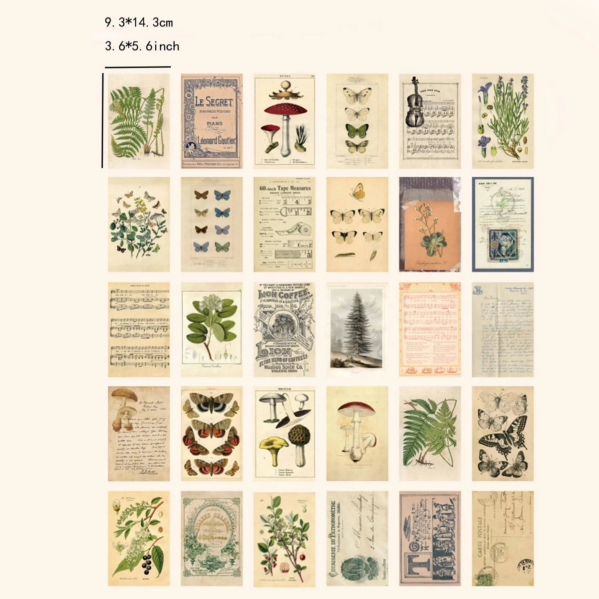 30 pcs Retro Ancient Forest Animals Plants Specimen Postcard Vintage Creative Writing Greeting Postcards Diar Journals DIY