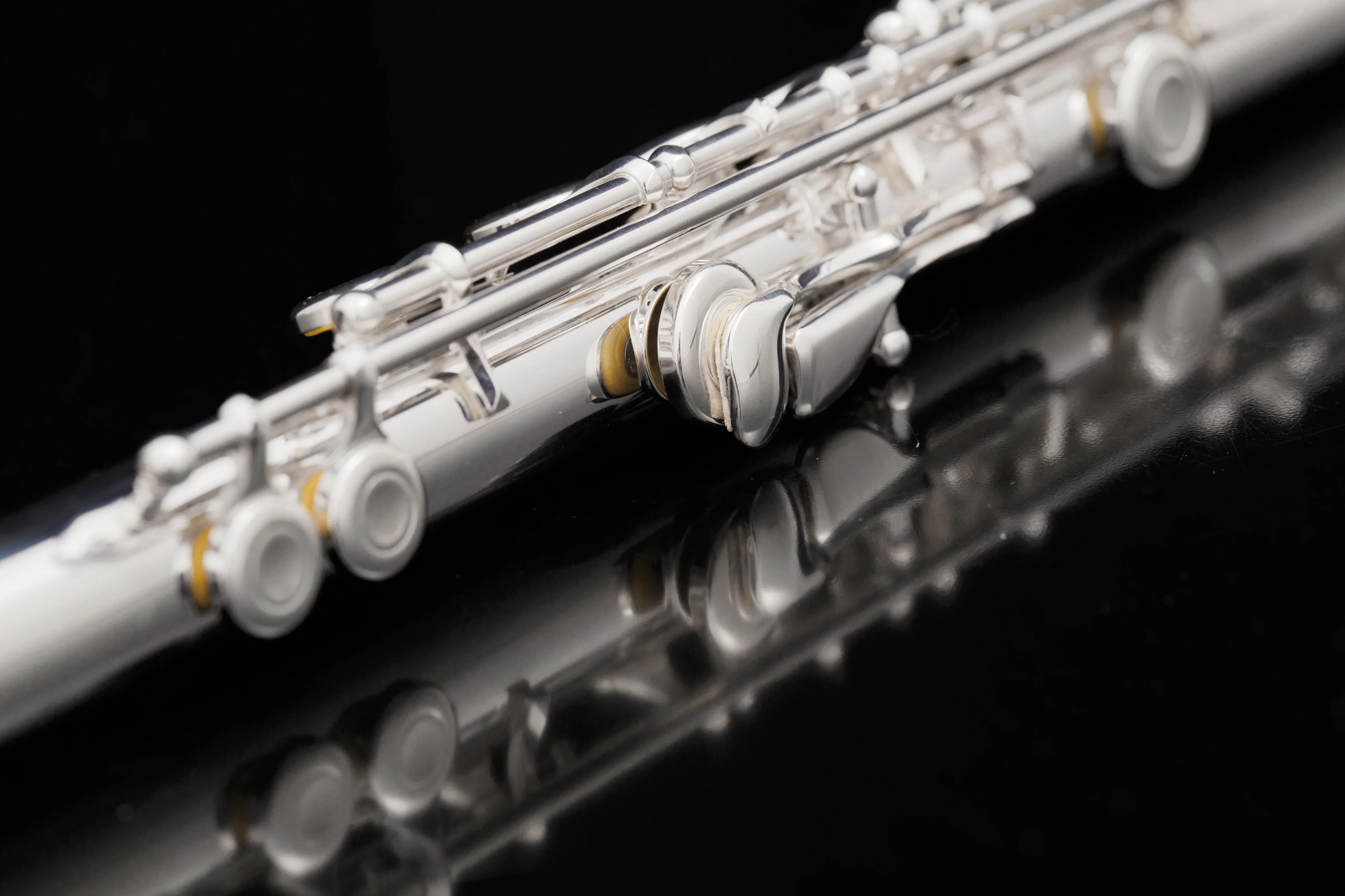 Advanced Performance Woodwind Instrument C Foot Flute With Silver Lip Plate&Riser