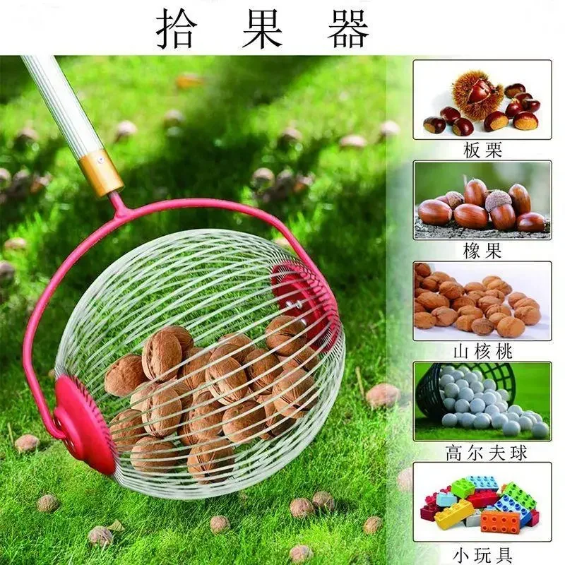 Fruit Golf Tennis Quick Pick up Tool Walnut Chestnut Nut Green Plum