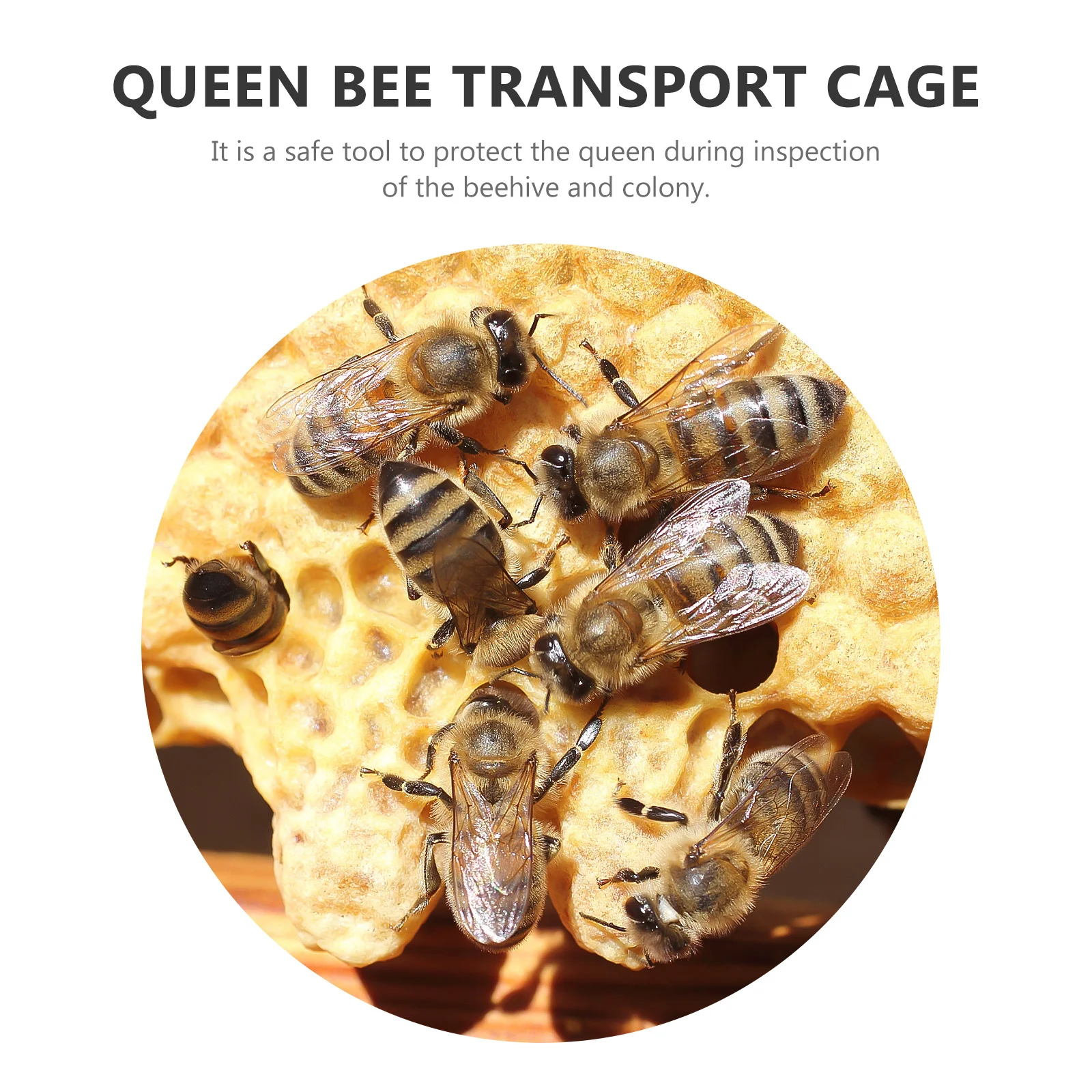 

1Set Professional Cage Durable Safe for Marking Transport Insulation Beekeeping Supply Accessory Cage