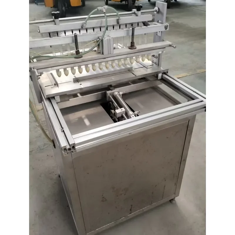 High Efficiency Semi Automatic Rice Transplanter for Precise Planting of Various Vegetables and Flowers
