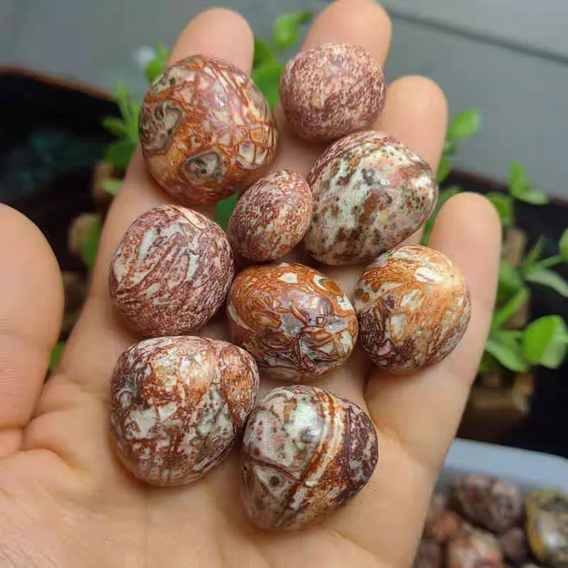 Natural crystal leopard-print stone particle raw stone mineral specimen