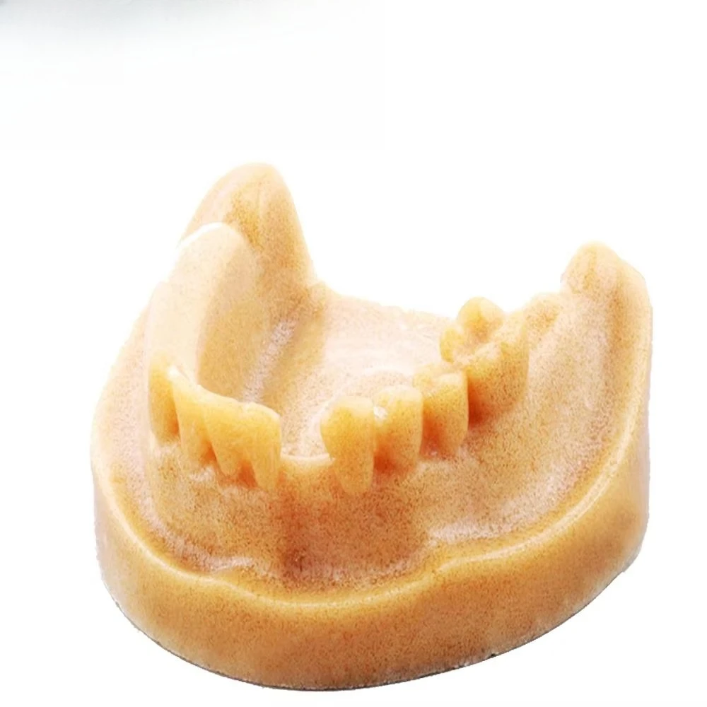 mandibular model and cancellous bone 6x7x3cm model A2028 for medical practice