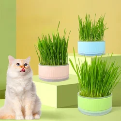 Cat Plant Planter Cat Plant for Pet Convenient Cat Planter Cat Plant Pot The Lazy  Plastic Cat Grass cup Without seeds