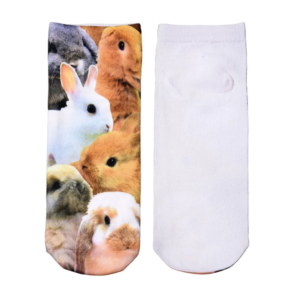 Neue 3D-Druck Tier Mode Tiger Panda Katze Hund Löwe Süßigkeiten Fleisch Kunst Bunte Frauen Lustige Socken Neuheit Geschenk Dropship – Detail 13