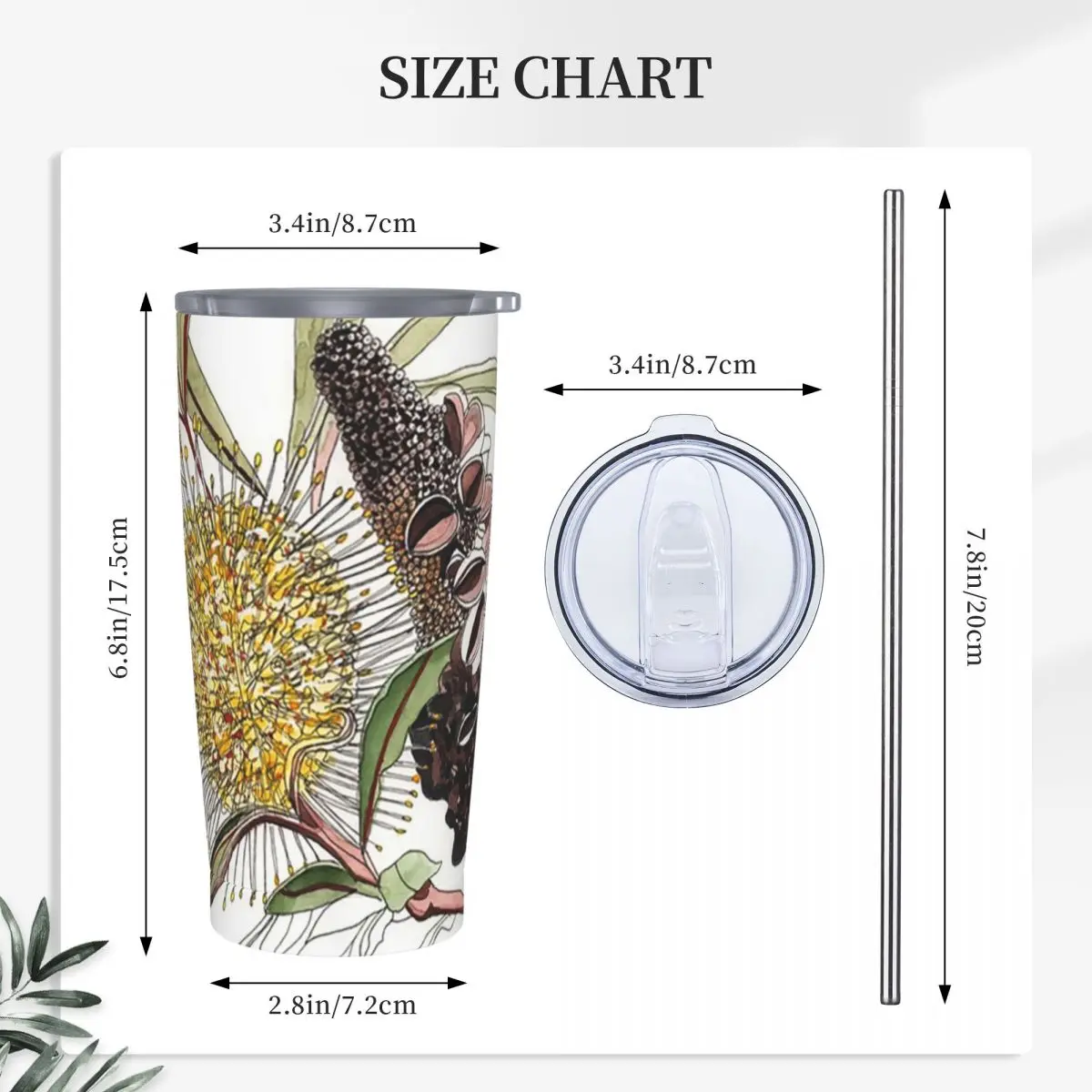 Banksia Flower Pod Australian Flora Yellow Stainless Steel Tumbler Vacuum Insulated Mugs Thermal Cold Cups Straw With Lid 20oz