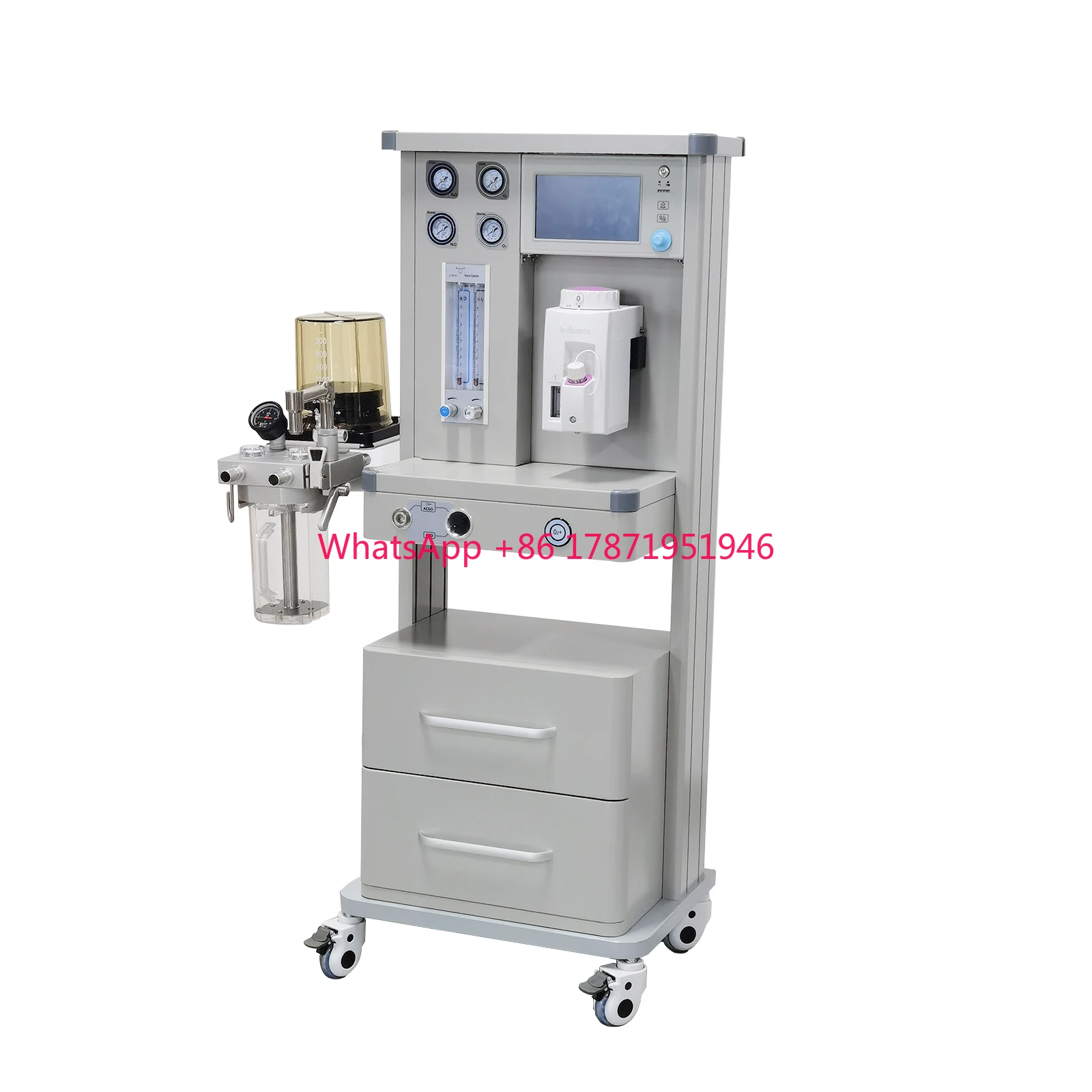 SV-1600 Pet Hospital Veterinary numbness Machine For Animal Surgical Vet numbness Machine