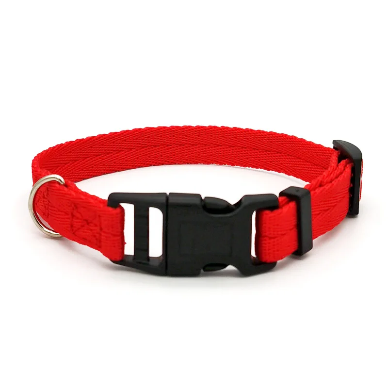 Monocromático Pet Dog Collar, Filhote de cachorro coleiras, rapidamente dissensível, Teddy Bichon Training Collar, cães pequenos e médios