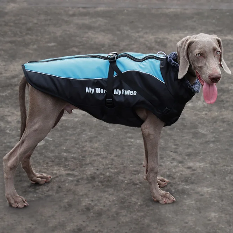 Ropa impermeable para mascotas, abrigo para perros grandes, chaquetas cálidas de terciopelo para exteriores, arnés para caminar para perros medianos