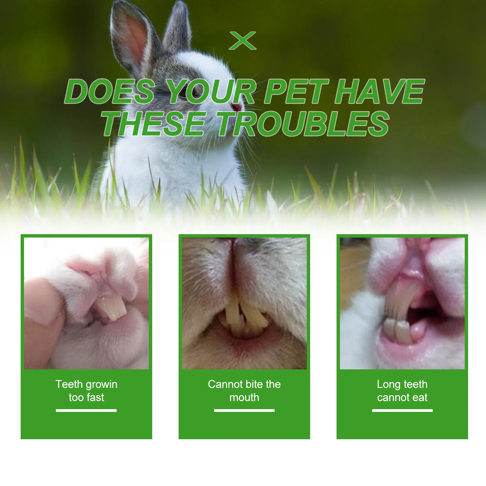 

10pcs Pet Chew Natural For Rabbit Hamster Guinea Pig Molar Grinding Teeth Cleaning Biting Chewing Supplies