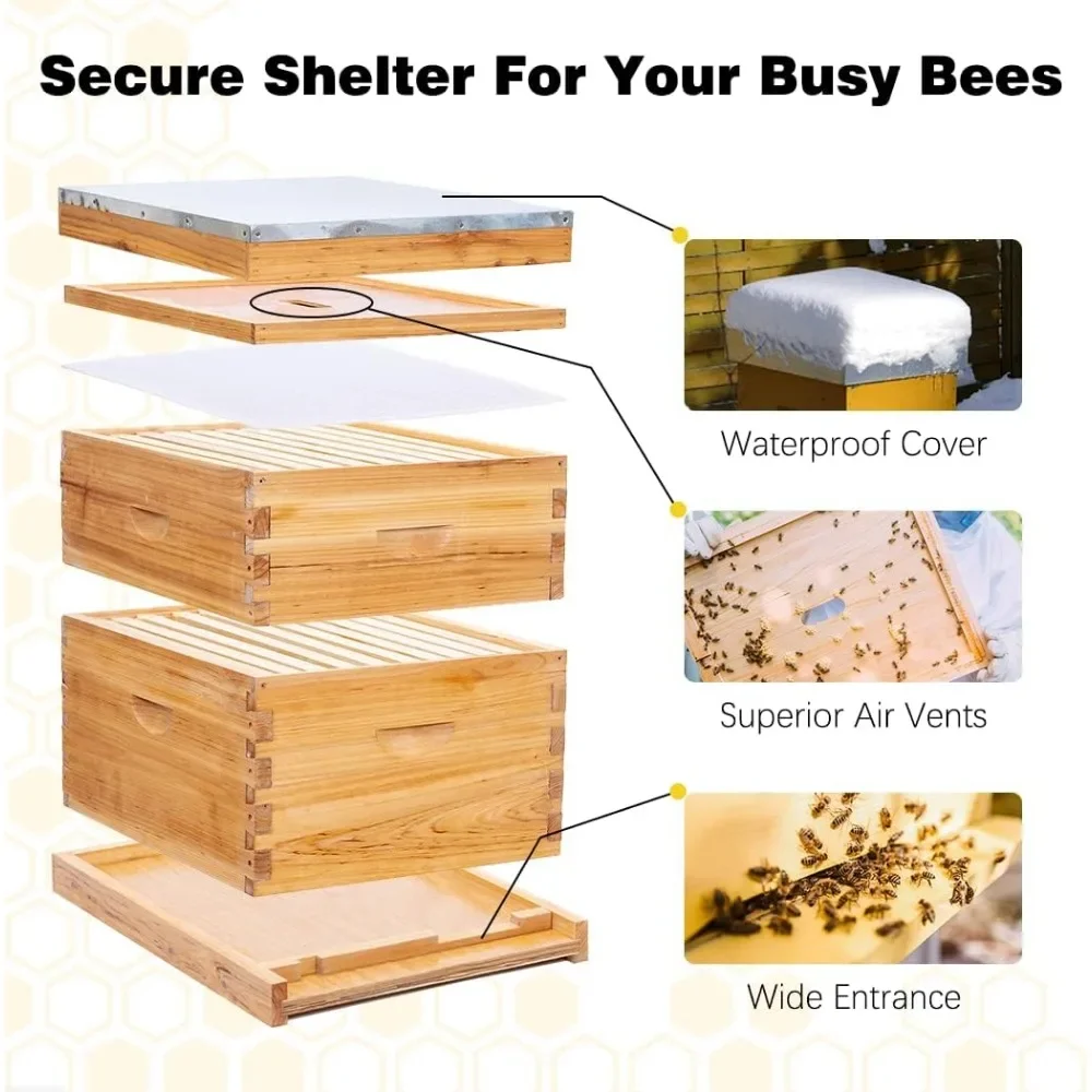 Simple Cedar Wood, 8 Frame Bees Hive Starter Kit, Beeswax Coated Hive For Bee Keeper, Include 1 Deep And 1 Medium Bee