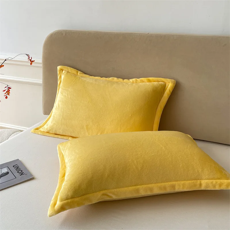 48X74Cm 2Pcs Solid Color Plush Pillow Cases Nordic Thick Milk Velvet Pillow Cover with Zipper Keep Warm Colorfast Winter Bedding