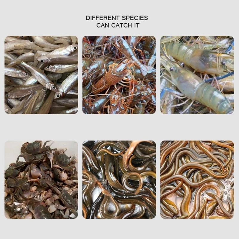 Crayfish Catcher Casting/Fish Crayfish Shrimp Smelt Eels Traps JOME
