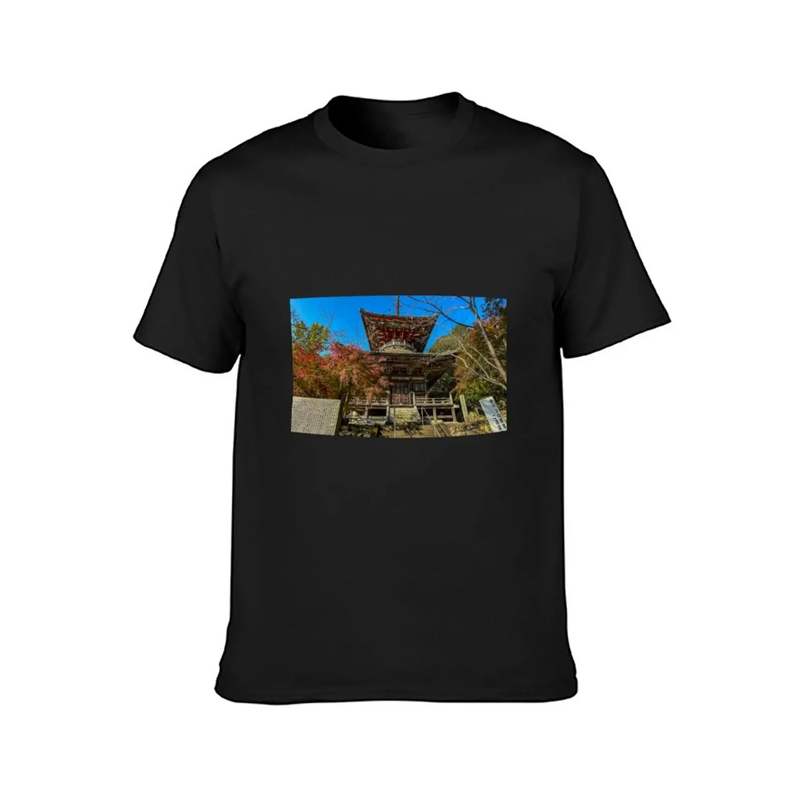 Temple 8: Kumadani-ji - Nestled amidst the Sanuki Mountains T-Shirt Blouse anime clothes heavyweight t shirts for men