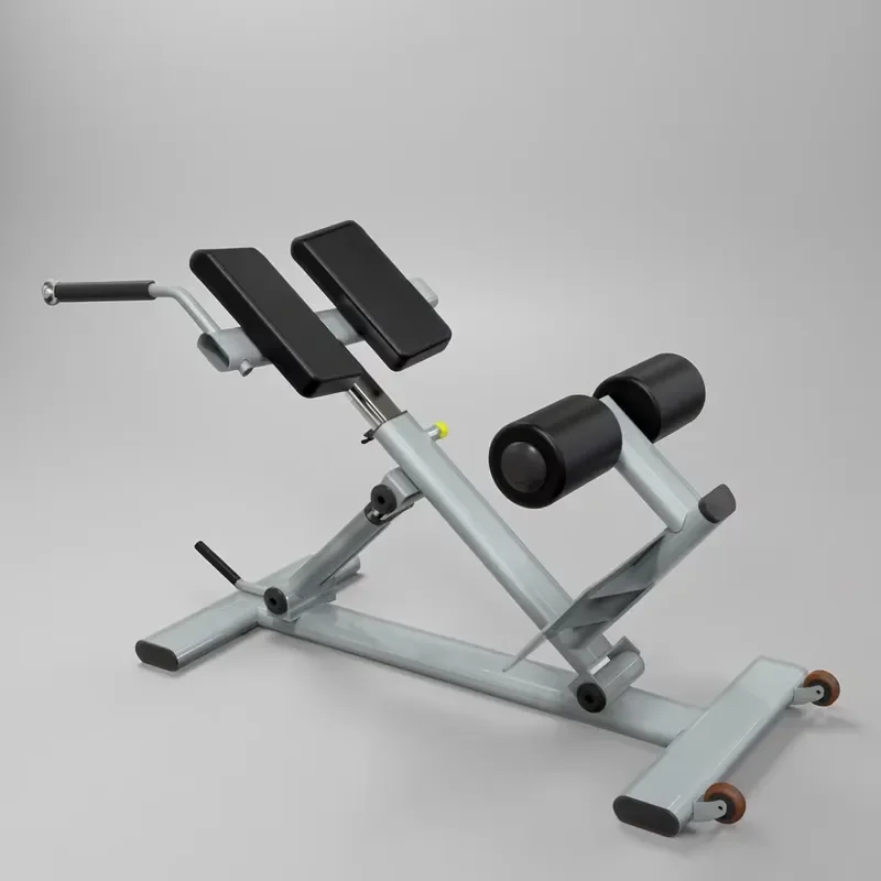 China Fitness Equipment Super Quality Commercial Gym Machine Strength Exercise Roman Chair for Training Machine