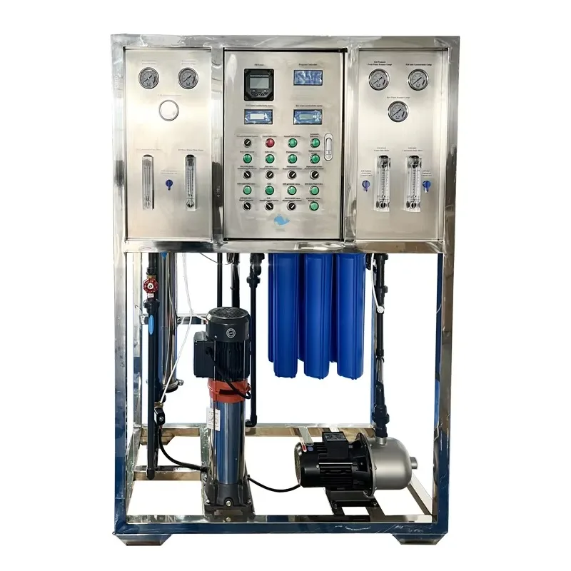 Two Whale Stainless Steel Water Treatment System With Reverse Osmosis EDI Pump & PLC Custom Capacity & Logo Wholesale Price