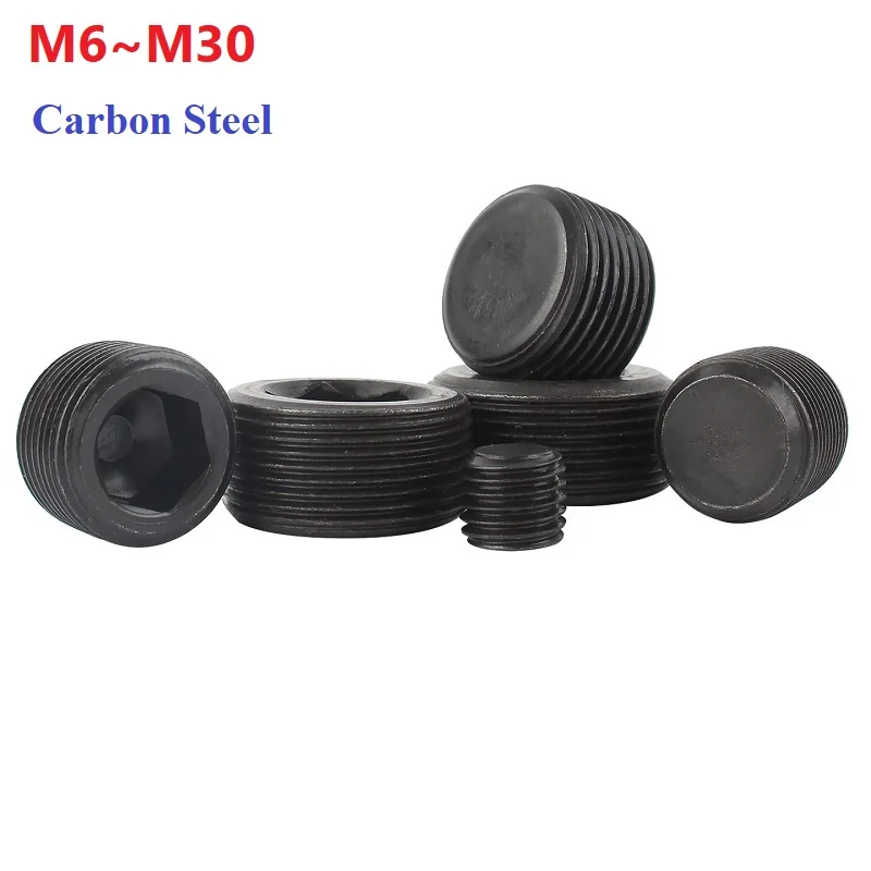 Blackened Hex Plug Grade 4.8 Hexagon Socket Cap M6 M8 M10 M12 M14 M16-M30 Bolt 1/8 1/4 3/8 1/2 3/4 1-1/4 1-1/2 1/16